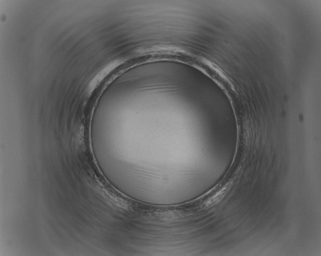 X0000076351066200610161753