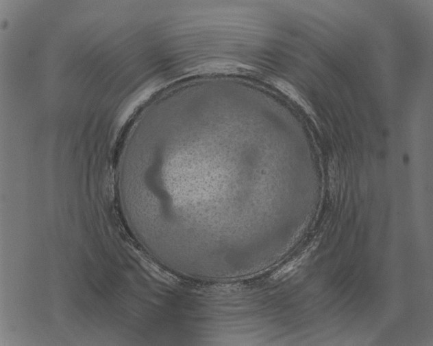 X0000076351067200610161753