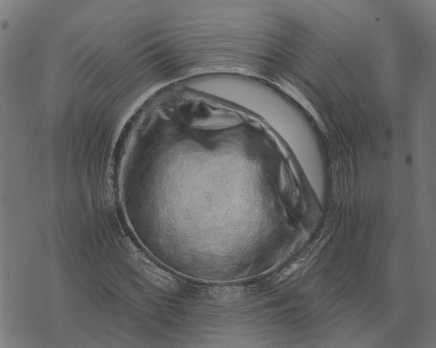 X0000076351068200610161753