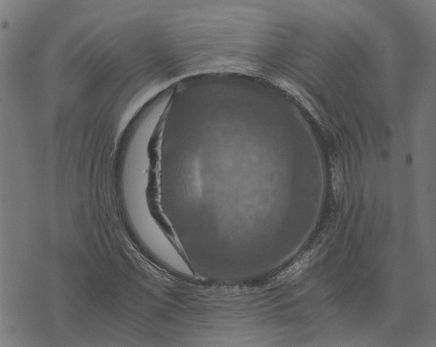 X0000076351069200610161753