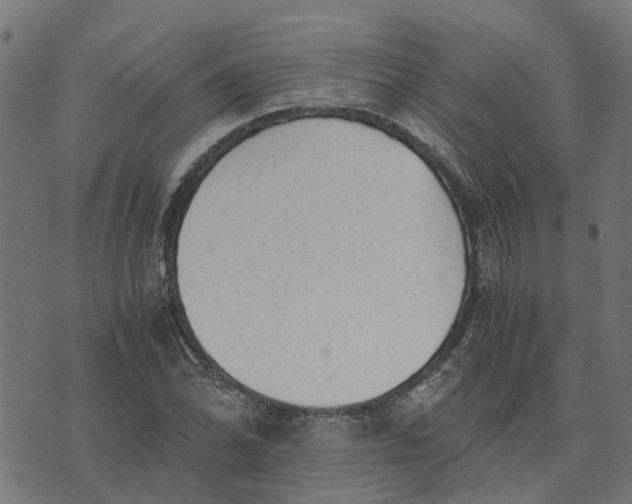 X0000076351070200610161753