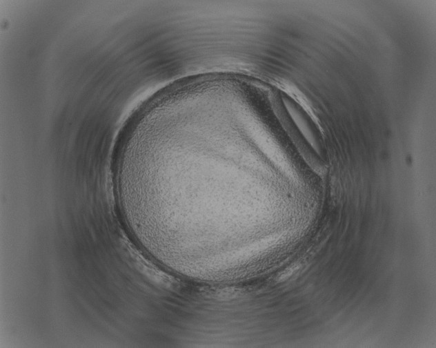 X0000076351072200610161753