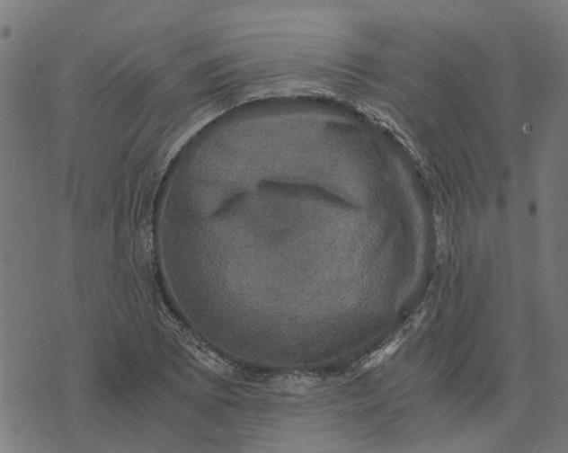 X0000076351073200610161753