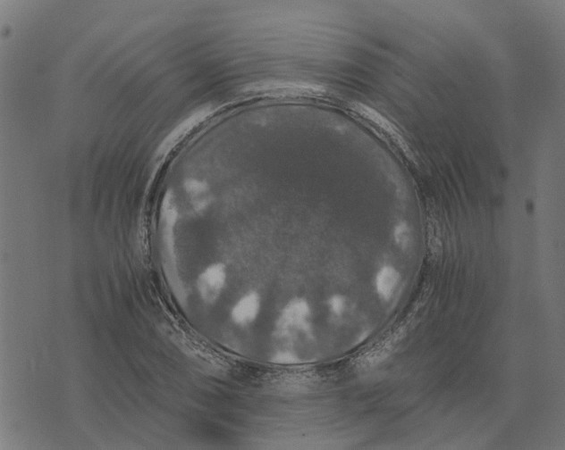 X0000076351074200610161753