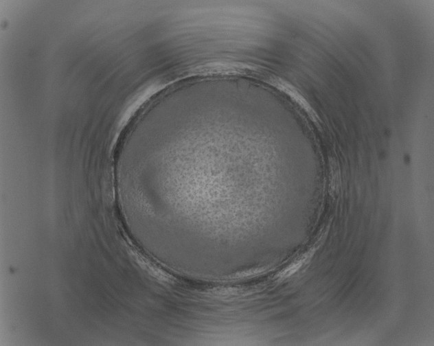 X0000076351075200610161753