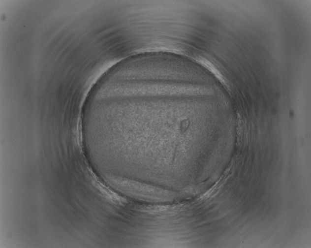 X0000076351076200610161753