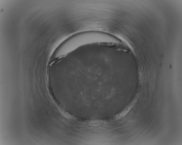 X0000076351077200610161753