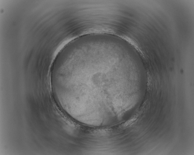 X0000076351078200610161753