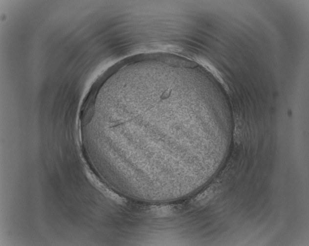 X0000076351080200610161753