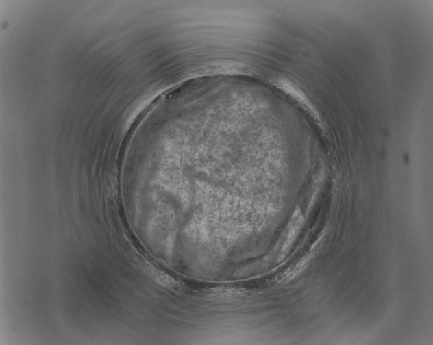 X0000076351081200610161753