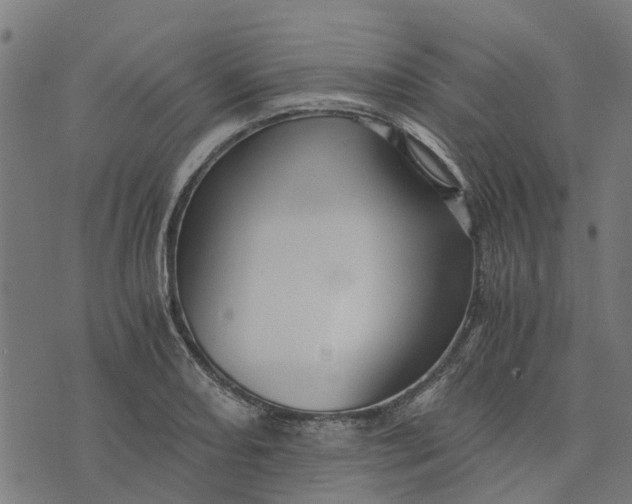 X0000076351082200610161753