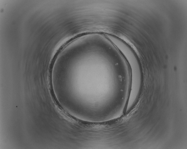 X0000076351085200610161753