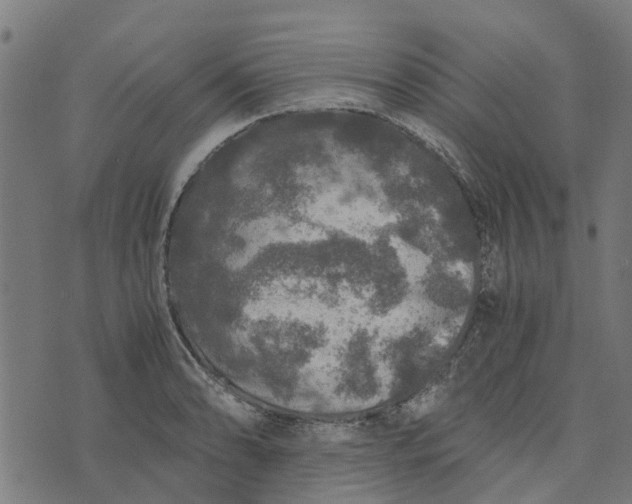 X0000076351086200610161753