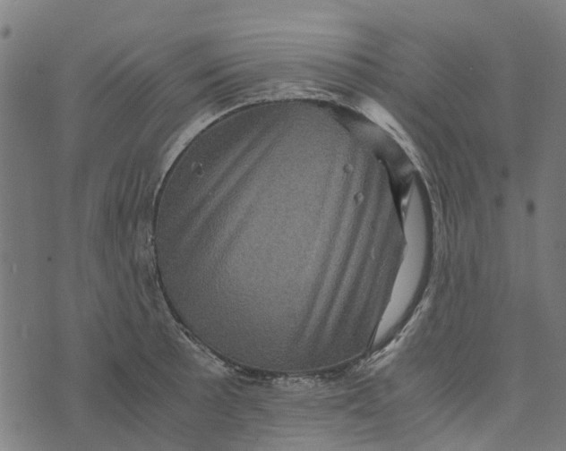 X0000076351089200610161753