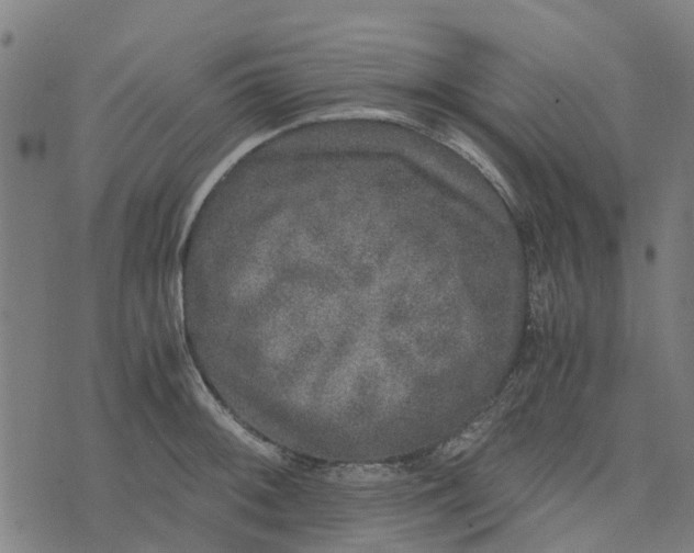 X0000076351092200610161753