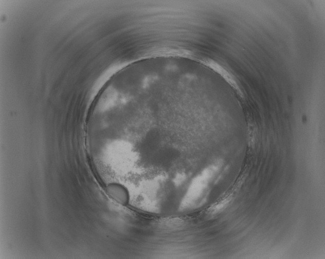 X0000076351094200610161753