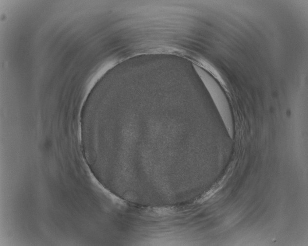 X0000076351095200610161753