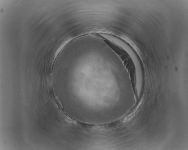 X0000076351097200610161753