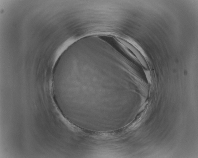 X0000076351101200610161752