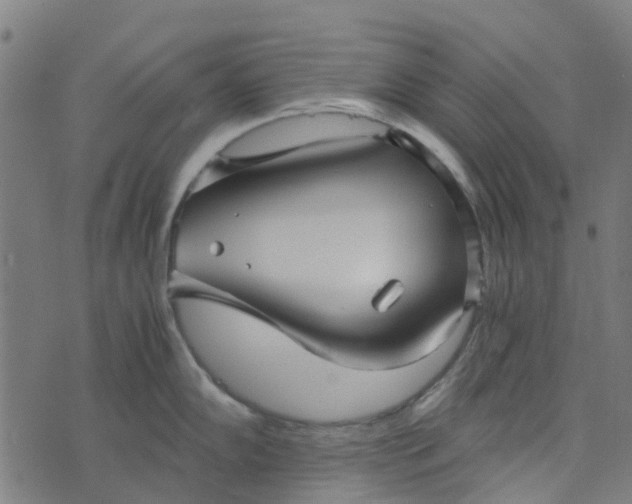 X0000076351102200610161752