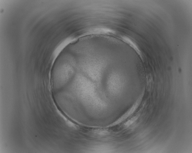 X0000076351103200610161752