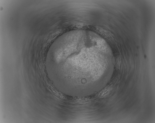 X0000076351105200610161752