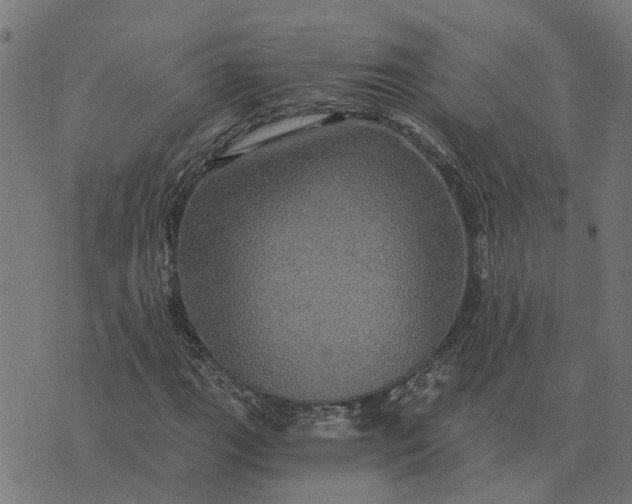 X0000076351111200610161752