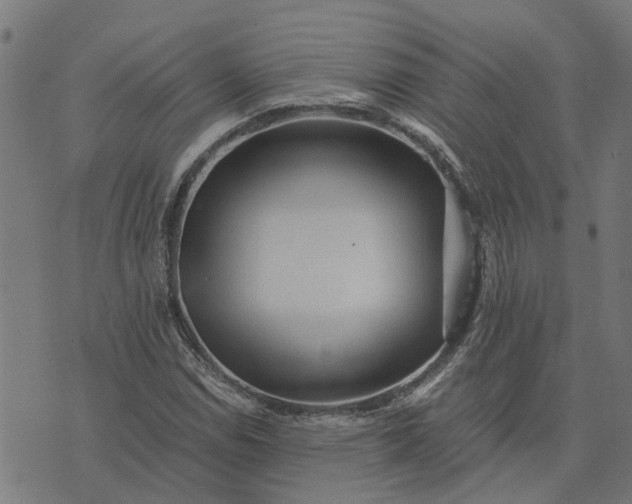 X0000076351114200610161752