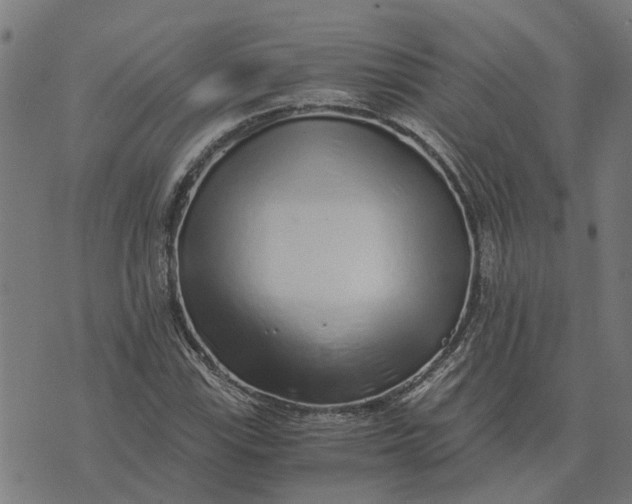 X0000076351115200610161752