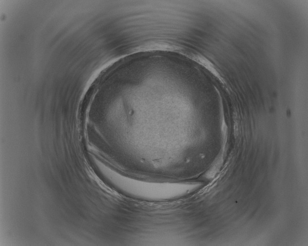 X0000076351116200610161752