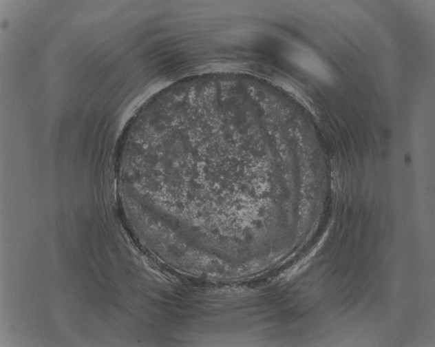 X0000076351117200610161752