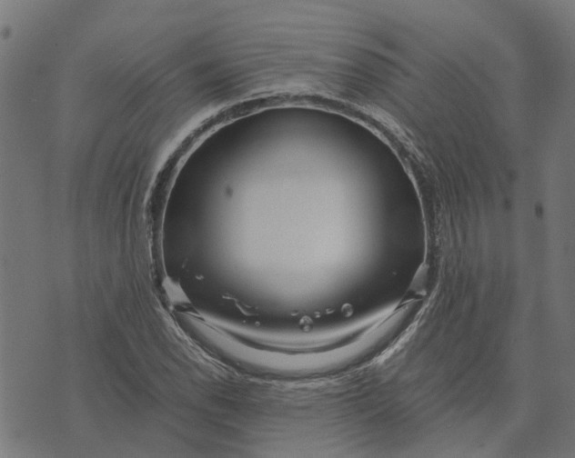 X0000076351118200610161752