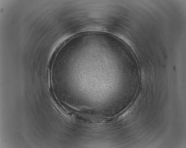 X0000076351123200610161752