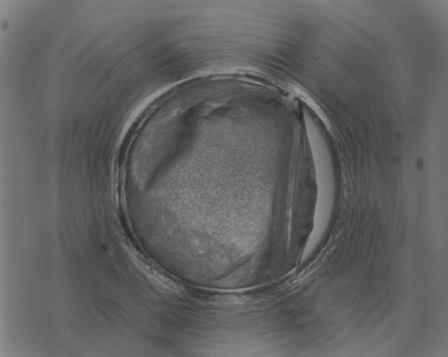 X0000076351124200610161752