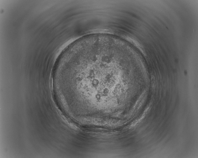 X0000076351125200610161752