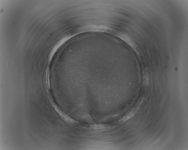 X0000076351128200610161752