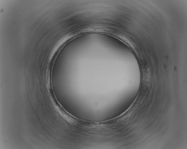 X0000076351131200610161752