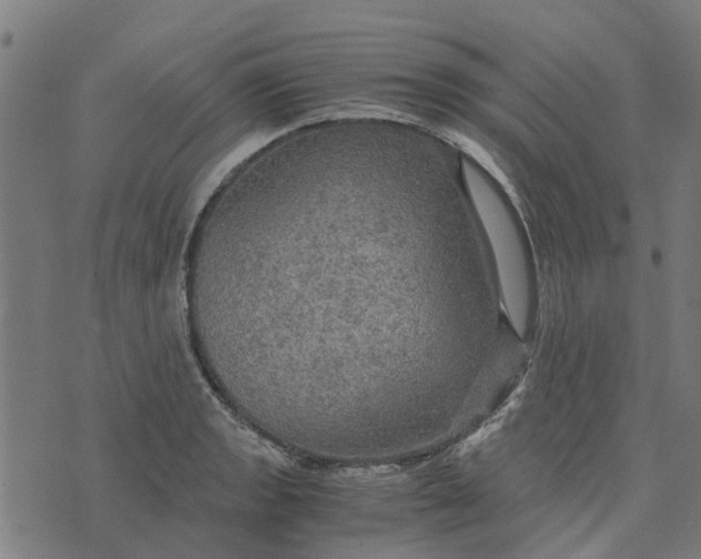 X0000076351133200610161752