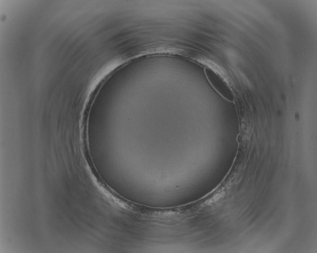 X0000076351135200610161752