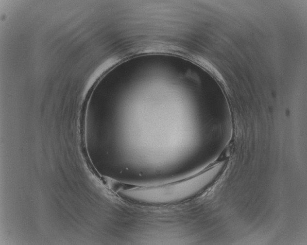 X0000076351138200610161752