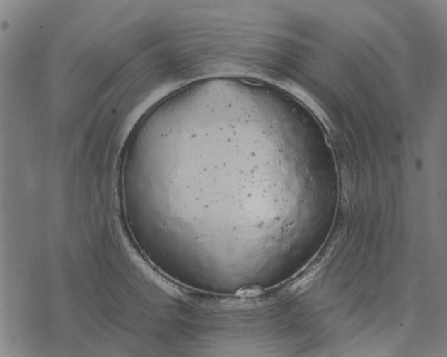 X0000076351142200610161752