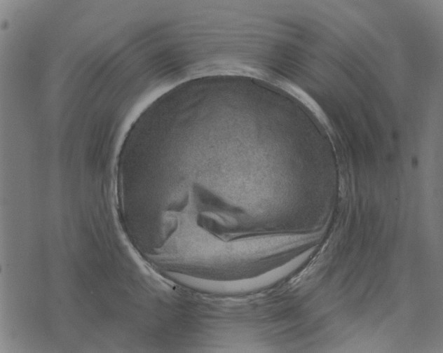 X0000076351144200610161752