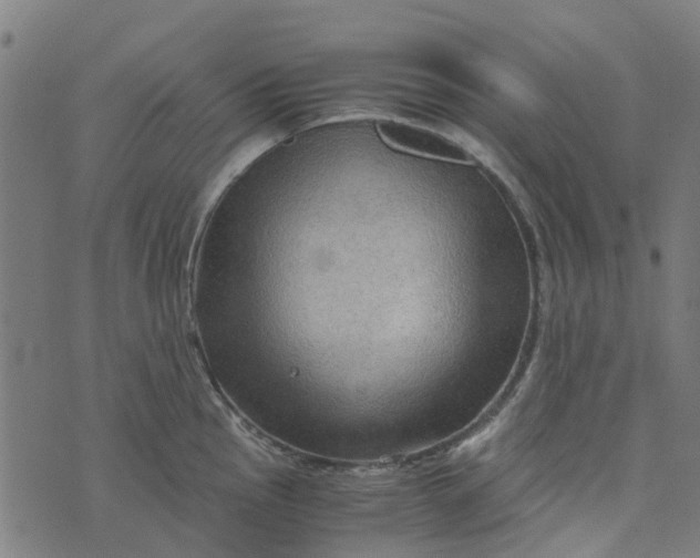 X0000076351145200610161752