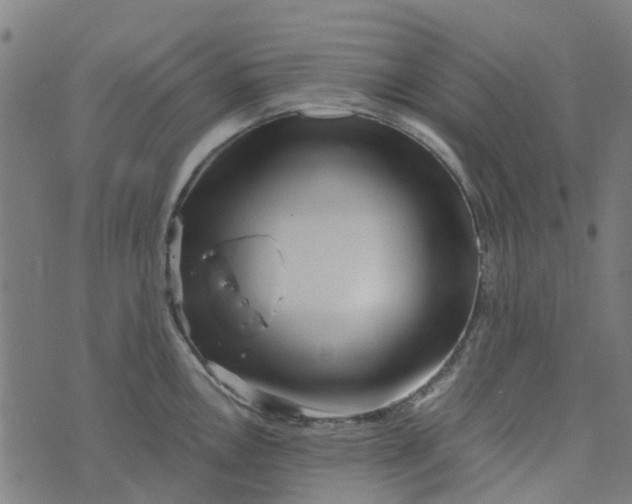 X0000076351146200610161752