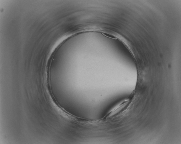 X0000076351147200610161752