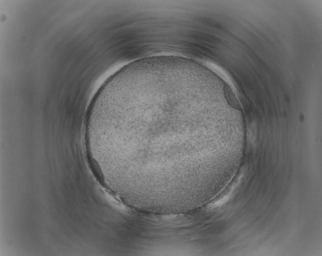 X0000076351149200610161752