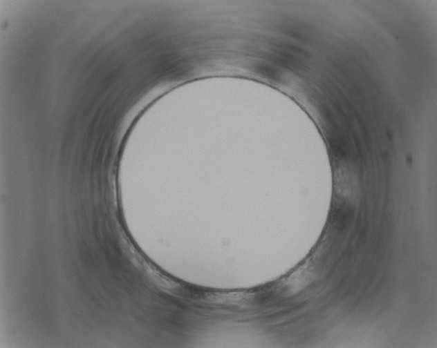 X0000076351150200610161752