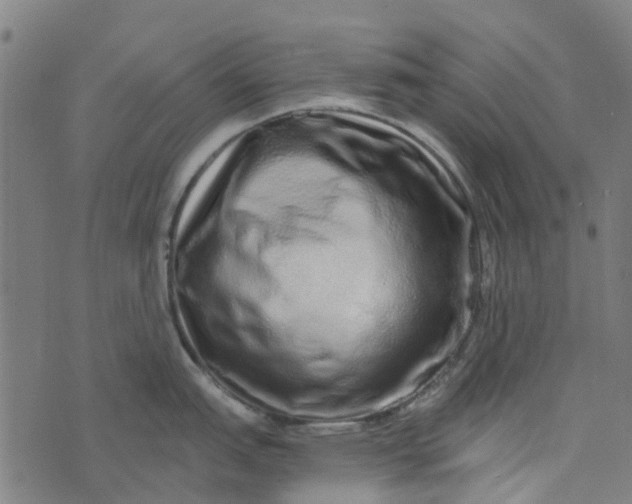 X0000076351151200610161752