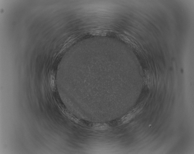 X0000076351154200610161752