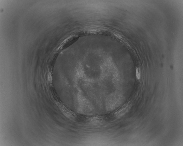 X0000076351155200610161751